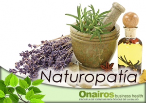 Fitoterapia Plantas medicinales