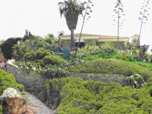 Geobiología Habitat Natural