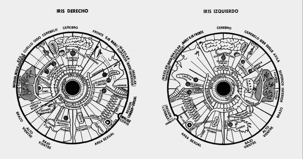 áreas topográficas de los iris de ambos ojos